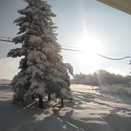 Casa Della Neve 호텔