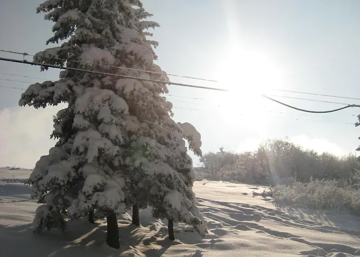 Casa Della Neve Hotell